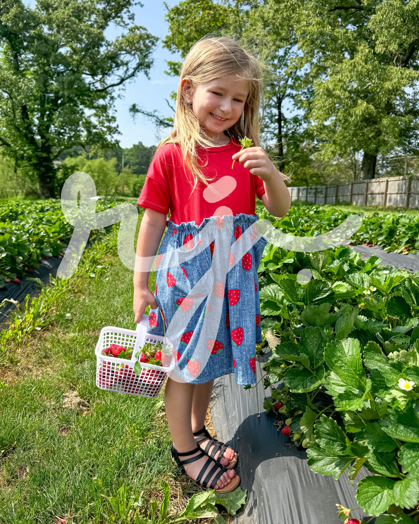 Ruffle Dress