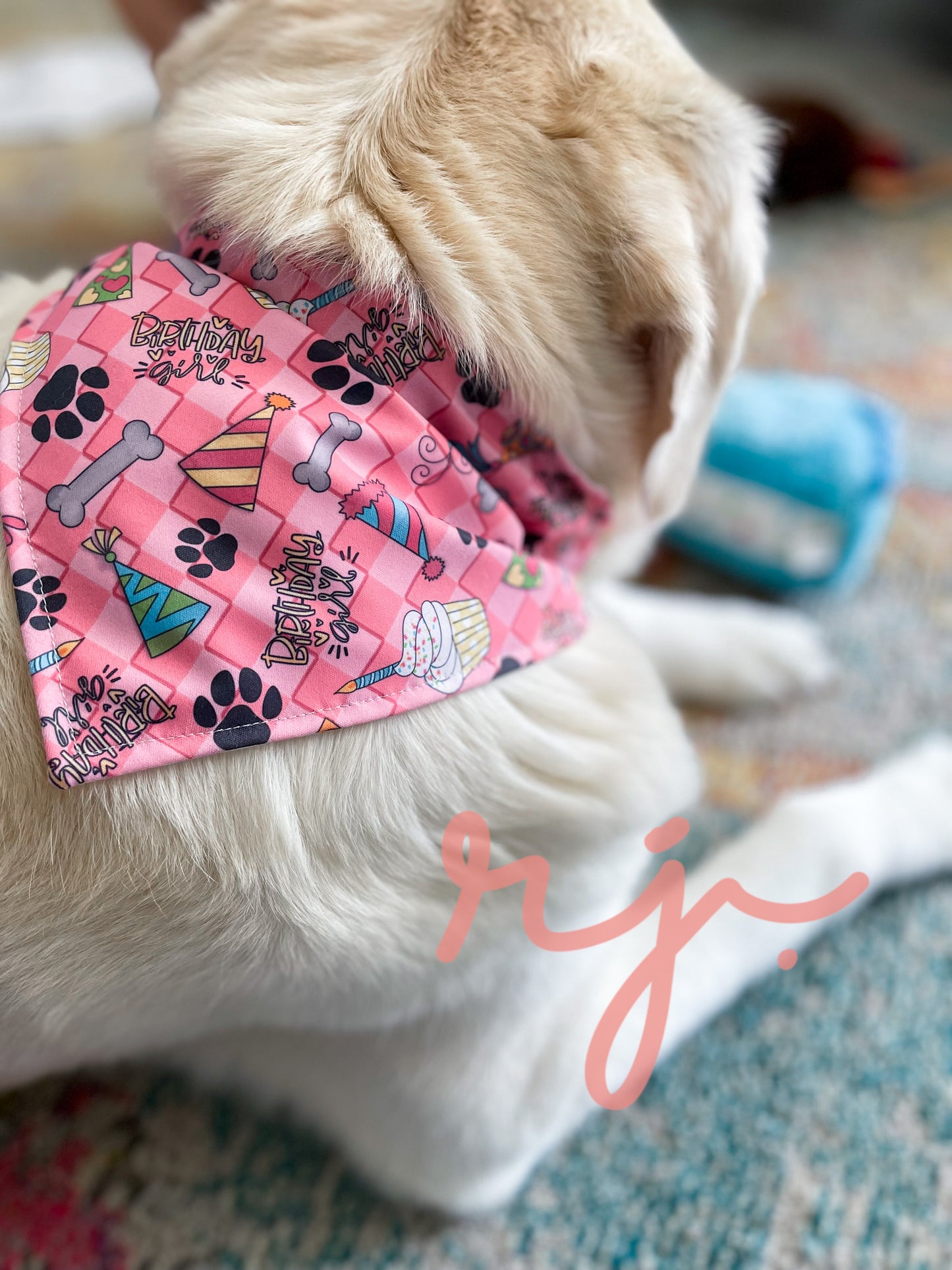 Dog Bandana